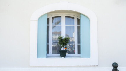 Obraz na płótnie Canvas window with plant