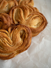 Homemade sweet bun with cinnamon and sugar on white paper background