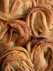 Homemade sweet bun with cinnamon and sugar on white paper background