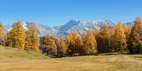 Panorama einer Herbstlandschaft in den Alpen von Österreich