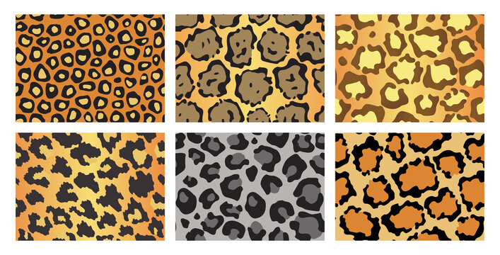 Collection of leopard textures. Seamless prints with wild animal skin. Leopard or cheetah nature design pattern. Wild animal skins print. Vector illustration background