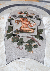 Constellation Virgo. Mosaic