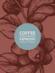 Coffee label in retro style. Vector label for coffee beans with hand-drawn coffee twig, coffee berries and the inscriptions Arabica premium, Espresso on a brown background