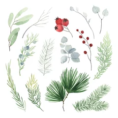 Fototapete Aquarell Natur Set Christmas watercolor set with winter branches and berries. Floral isolated illustration on white background in vintage style. Collection elements for your design invitation or greeting cards, textile.