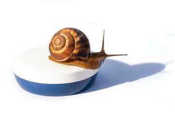 large brown snail on a jar of face cream, on a white background. Skin care