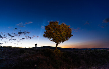 young boy illuminating the sky with a super-powerful flashlight, night photography with a view of stars and the glow of orange sunset on the mountain and illuminated tree in the evening