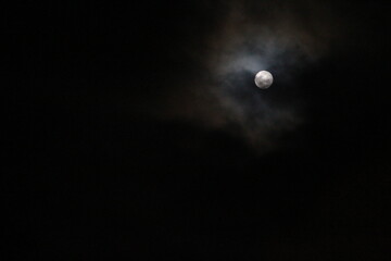 full moon in the night