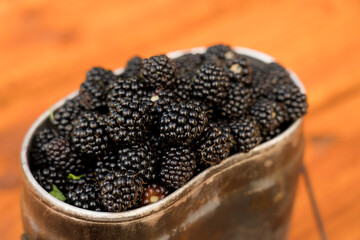 fresh forest blackberries collected in metal dishes, close-up, selective focus, tinted image, black forest berry