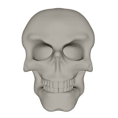 Human Skull isolated on white background.