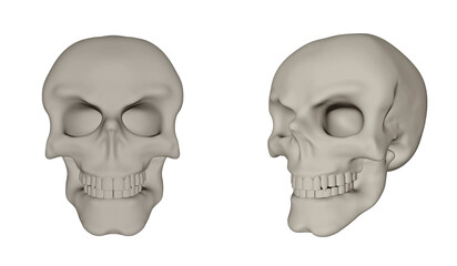Set of Human Skulls Isolated on White Background.