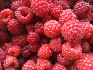 Raspberries in full frame close up