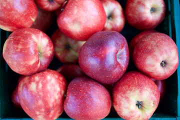 Close up of shiny apples