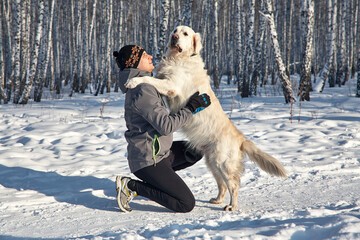 Labrador retriever dog for a walk and training with owner man in the winter outdoors - 394772005