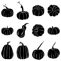 Hand drawing pumpkins set. Vector illustration, line graphics. Linear art. Silhouettes of pumpkins