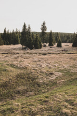Jizera Mountains, Czech Republic