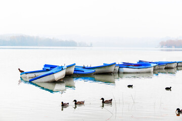 Paz y tranquilidad una mañana de otoño en el lago de Banyoles.