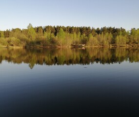 reflection of trees in the water