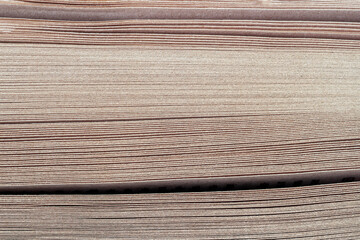 Texture of butt ends stack of sheets in book, side view