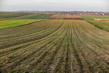 Fototapeta na wymiar Landscape with visible farmland in the fall