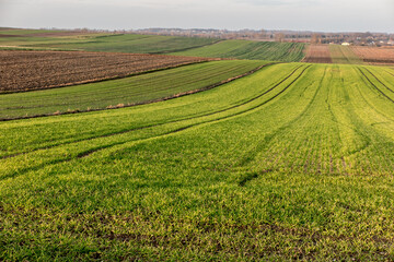 Landscape with visible farmland in the fall