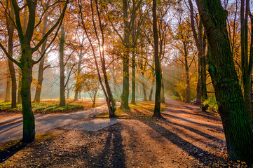 Ein Herbsttag im Hermann  -Löns-Park  Hannover