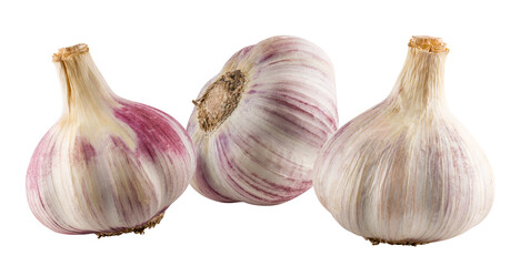 Obraz premium Garlic isolated on white background