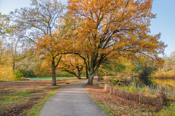 Ein Herbsttag im Hermann  -Löns-Park  Hannover