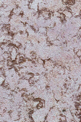 textured plaster on a cement-gypsum base as a calm building background
