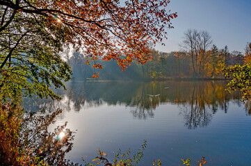 Ein Herbsttag im Hermann  -Löns-Park  Hannover