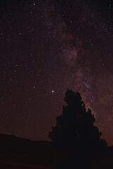 Milky Way sky camping in forest