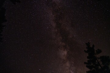 Milky Way sky camping in forest