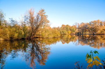 Fototapeta premium Ein Herbsttag im Hermann -Löns-Park Hannover