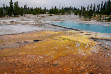 Yellowstone National Park Thermal Paint Pot Areas