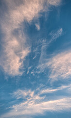 Beautiful evening blue sky, with white cirrus clouds of different shapes