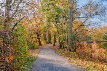 Fototapeta premium Ein Herbsttag im Hermann -Löns-Park Hannover