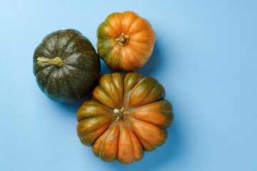 Small pumpkins on blue pastel background top view