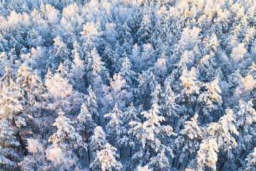 Winter christmas background