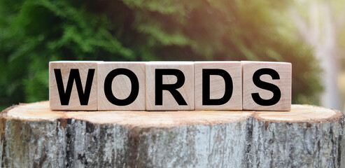 The word WORDS is written on wooden cubes. Wooden cubes on a green lawn background for your design, concepts.