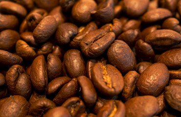 roasted coffee beans are scattered on the table.