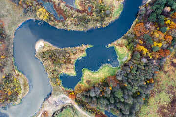 Abstract autumn background