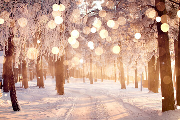 Magic christmas light in winter forest - 394786037