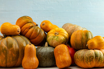 Assortment of small pumpkins on wooden background