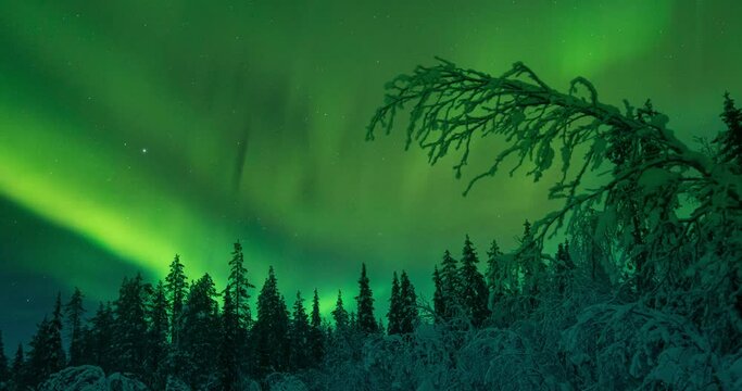 Timelapse northern lights in Lapland