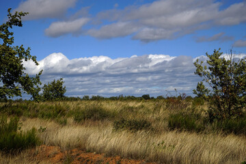 Jakobsweg südwestlich von Leon,  Heidelandschaft, Spanien