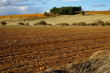 Jakobsweg südwestlich von Leon,  Heidelandschaft, Spanien