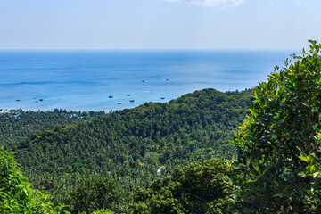 Island panoramic natural green view, crystal blue water, ferry hoop
