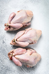 Raw quails on a kitchen table. White background. Top view