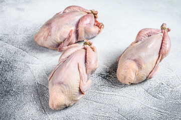 Raw quails on a kitchen table. White background. Top view