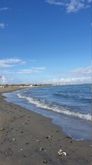 Sea Coast And Kiteboarders