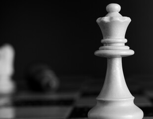 Scacchi fotografati su una scacchiera